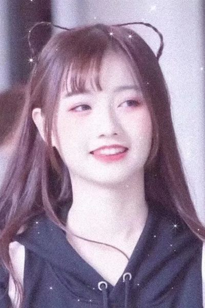 《静止的夏天》番剧封面